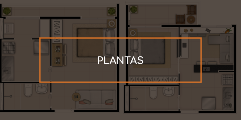 Plantas-2-800x400